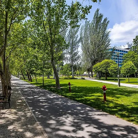 Apartment Rozmaring *