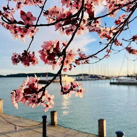 Lejlighed Rozmaring *