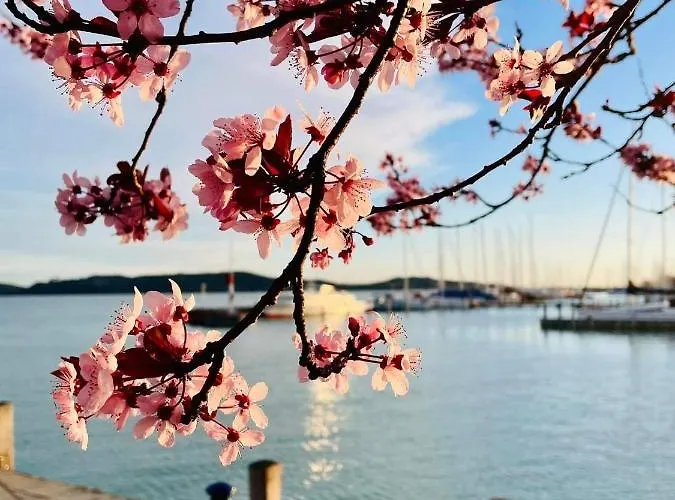 Appartement Rozmaring *